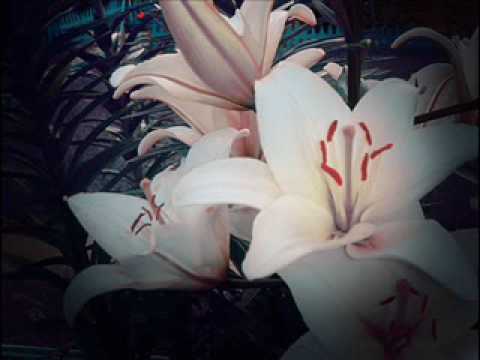 Liliya - Mi budem vmeste