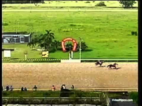 Resumen Viernes, 01 de Noviembre de 2013 - Valencia