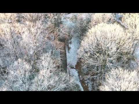 01-28-21 Stokesdale, NC - Snowy Sunrise