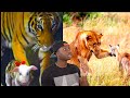 When Cats Break The Rules Of Nature