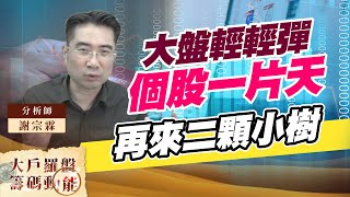 大盤輕輕彈 個股一片天 再來二顆小樹 (圖)