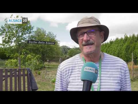 Sur les traces de nos ancêtres en Alsace Bossue.