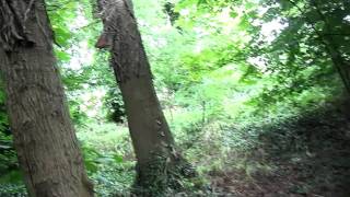 preview picture of video 'Umuhut's Vid of Swalcliffe Park School woods'