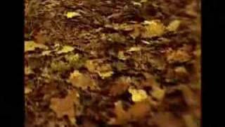 Flamur Terziu - Sa Me Mungon