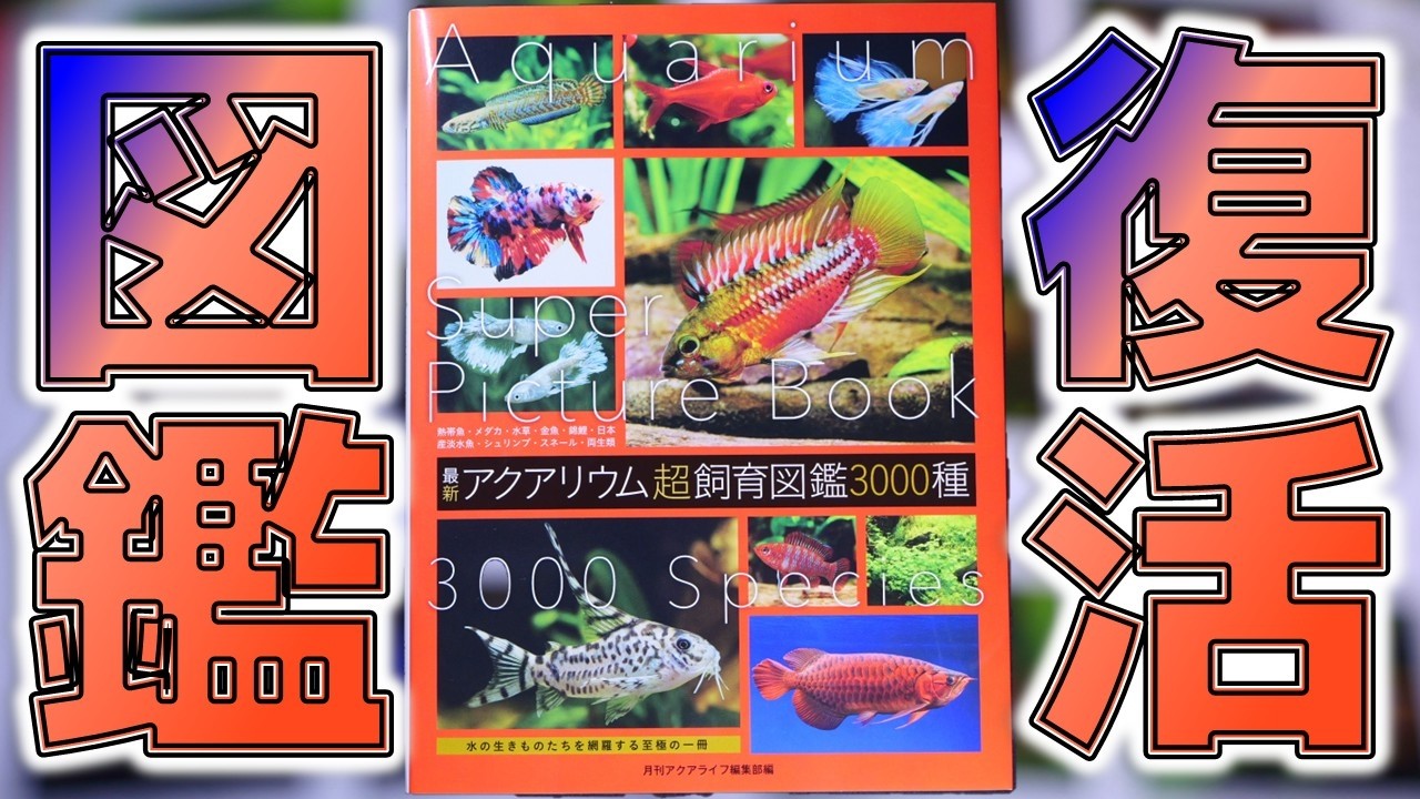 【本】かつて4年毎に発行されたエムピージェーの大図鑑をアクアライフが受け継ぎ令和版として45年分凝縮させた一冊！エムピージェー  最新アクアリウム超飼育図鑑3000種 【ふぶきテトラ】