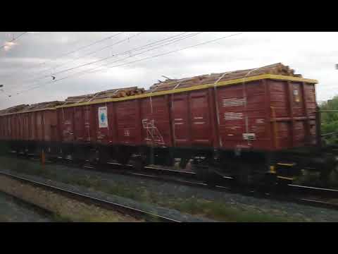 Marfar cu busteni de la PSP Cargo Grup.