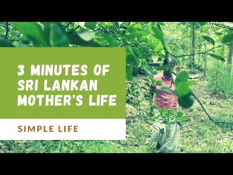 3 Minutes Of Sri Lankan Mother's Simple Life With Nature