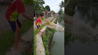 Download lagu ngecrik mania mp3