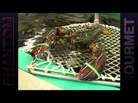 Captain's Table and Takeaway - Wellesley, MA (Phantom Gourmet)1