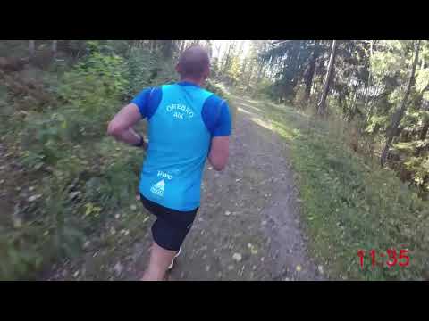 Närkes Terräng-DM (långa) 2019 - 12 km (Löparperspektiv)