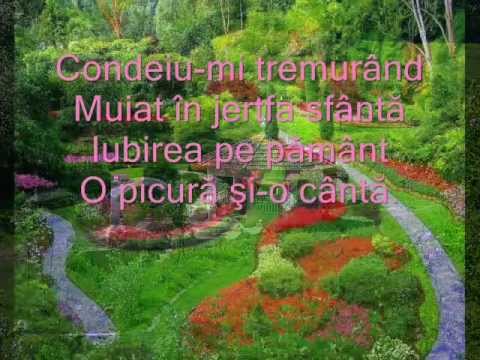 LARGA,BRICENI VALENTIN BORODACHI cu poezia"Sunt un poet crestin"