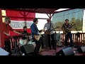 Steve Wynn - GRACE - Live 2018