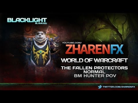 The Fallen Protectors 25 Normal | Beast Mastery Hunter PoV