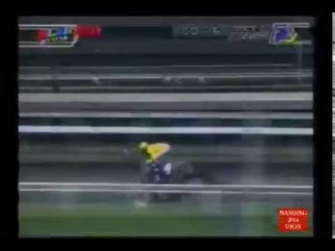 MJCI 071114 R08 4 PUGAD LAWIN (A)