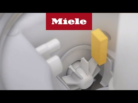 Miele Geschirrspüler l Ablaufpumpe reinigen
