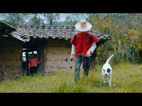 Yuber Adams ft. Raíces de Cajamarca - Amor Interesado (Video Oficial)