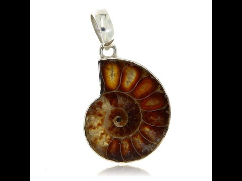Pandant Argint 925 Amonit Natural - Rafinament si Istorie