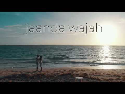 Taaz - Navaan Sandhu(Lofi) Lyrical video