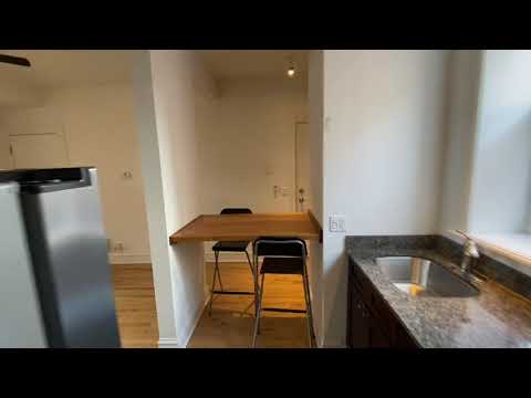Pilsen 1820 Throop - Video 2 of 2
