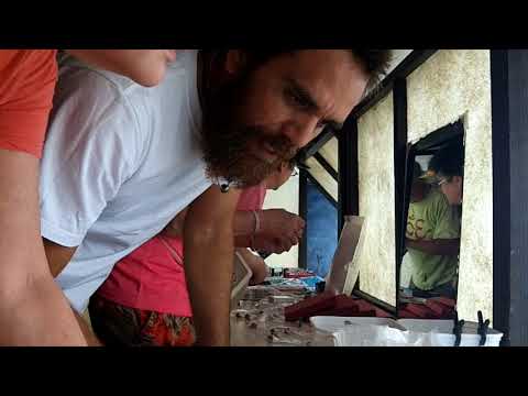 download lagu mp3 mp4 Tahitian Pearls Online, download lagu Tahitian Pearls Online gratis, unduh video klip Tahitian Pearls Online