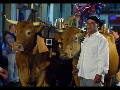 Sanjoaninas 2014 - Cortejo Etnográfico "Memórias quase perdidas"