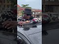 JOSE CHAMELEON