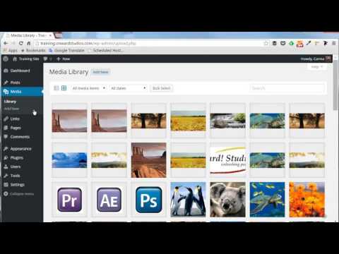 WordPress Dashboard overview video thumbnail
