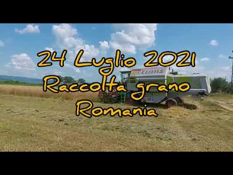 Magesti Bihor 24 Iulie 2021