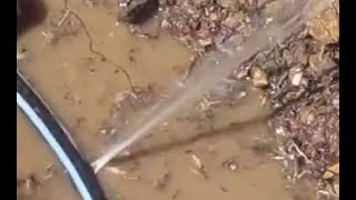 How to FIX Leak Drip Irrigation Tubing Hole Sprinkler System Hose Repair Poly Tubing Leaking system