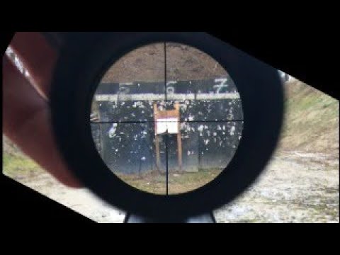 Rimfire rifle Rossi RS22 7022 Shooting at 100 yards with different ammo