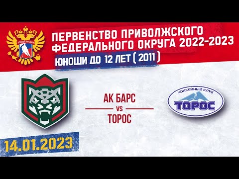 АК БАРС vs ТОРОС 2011 г. р. 14.01.2023
