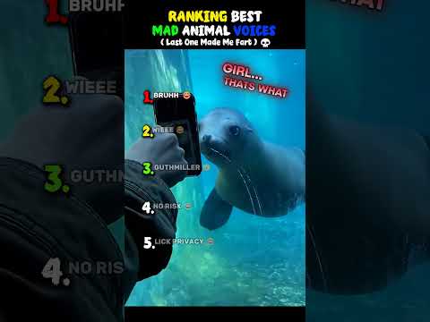 TRY NOT TO LAUGH: Ranking Best Mad Animal Voices. #shorts #funny #animals