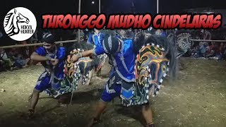 Download lagu TURONGGO MUDHO CINDELARAS LIVE CANDI IJO PART I mp3