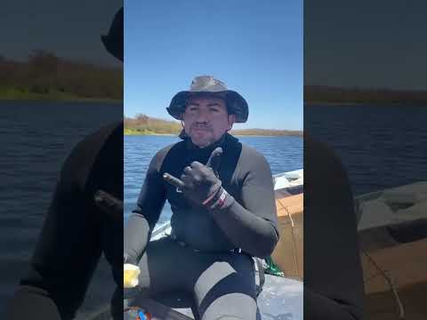 pesca Sub atrás dos pirarucu gigante no açude do Muquém Cariús ceará