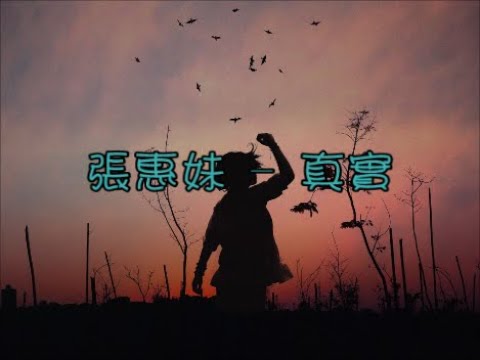 張惠妹 Zhang Hui Mei  - 真實 Zhen Shi《Chi/Pin/Eng》