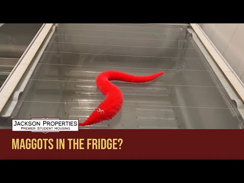 Maintenance Tutorials: Maggots in the Fridge