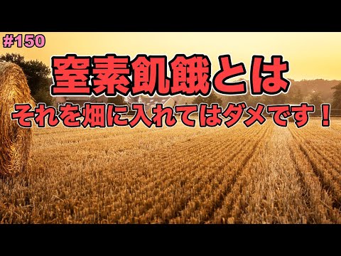 堆肥が分解しないのはなぜですか? 5つの原因とその解決策を探る  庭園