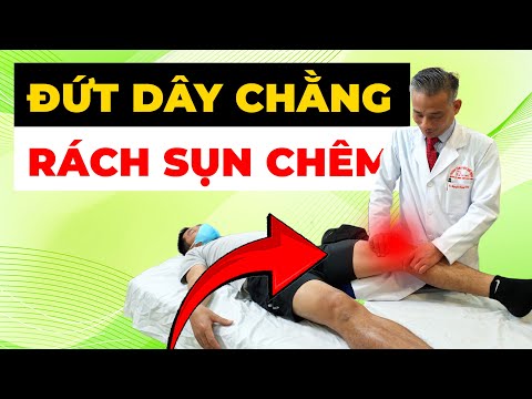 Đứt Dây Chằng Chéo Trước + Rách Sụn Chêm: Vì Sao Đầu Gối Bạn Yếu Đi?