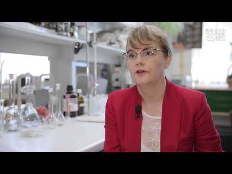 Pestki dyni. Zdrowy i tani skarb [Specjalista radzi]