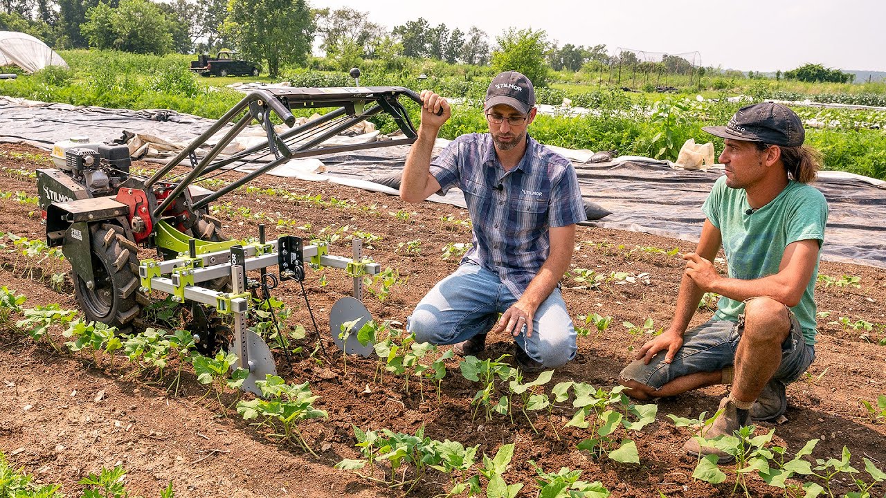 Adjusting Two Wheel Tractor Torsion Weeder & Spyder For Maximum Weed Control