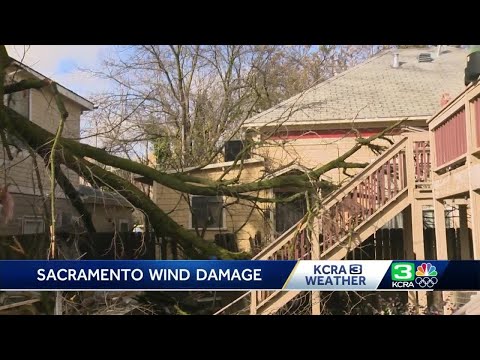 Sacramento residents clean up after wind damages several neighborhoods