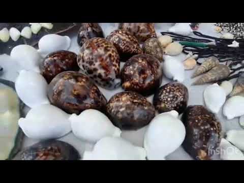 Vlog 2 jasiira beach 🏖😘😘😘