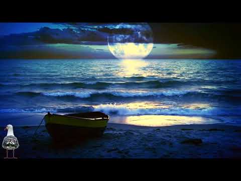 Einschlafmusik mit Meeresrauschen und Naturgeräusche - Entspannungsmusik. Meeresrauschen mit Möwen