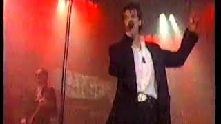The Angels - Dogs Are Talking