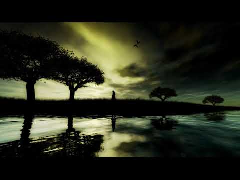 AUEL x Greencyde - WANDERER