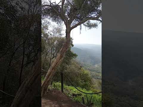 las yungas, San Miguel de Tucuman 🇦🇷