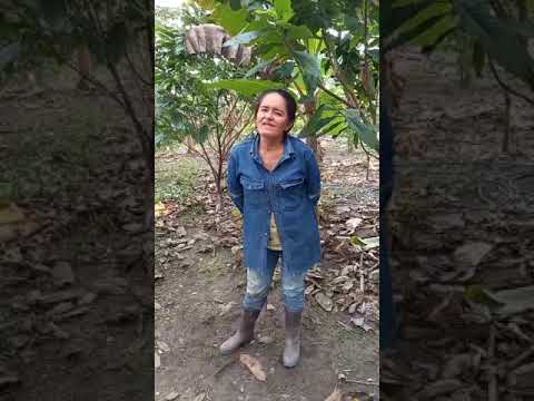 Barranca de Upia Productora