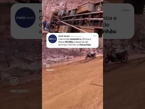 Caminhão boiadeiro tomba na MA-008 | Ronda