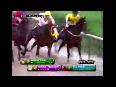 Brave Tide (horse without fear)