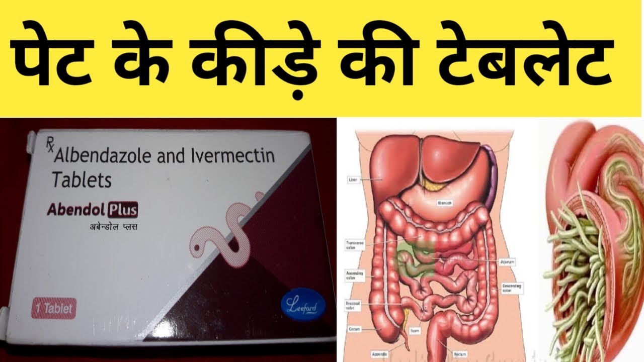 पेट के कीड़े मारने की दवा: Abendol plus tablet 💡